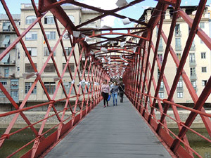 Sant Jordi 2015 a Girona. Estenem Poesia, per &Ograve;mnium Giron&egrave;s 