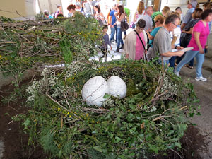 Temps de Flors 2015. La pla&ccedil;a del Vi, l'Ajuntament i el Teatre Municipal
