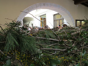 Temps de Flors 2015. La pla&ccedil;a del Vi, l'Ajuntament i el Teatre Municipal