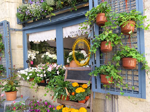 Temps de Flors 2015. La pla&ccedil;a del Vi, l'Ajuntament i el Teatre Municipal