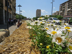 Temps de Flors 2015. Carrer Albereda, Rambla Verdaguer i voltants