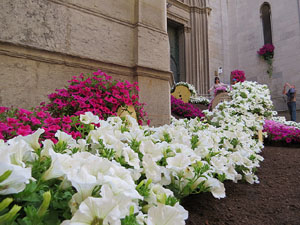Temps de Flors 2015. Carrer Albereda, Rambla Verdaguer i voltants