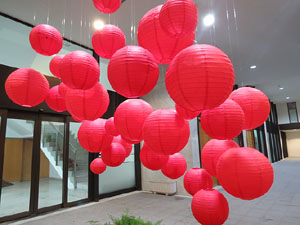 Temps de Flors 2015. Carrer Albereda, Rambla Verdaguer i voltants