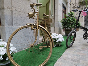 Temps de Flors 2015. Carrer Albereda, Rambla Verdaguer i voltants