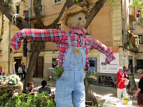 Temps de Flors 2015. Carrer Albereda, Rambla Verdaguer i voltants