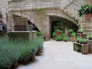 Temps de Flors 2015. Altres espais