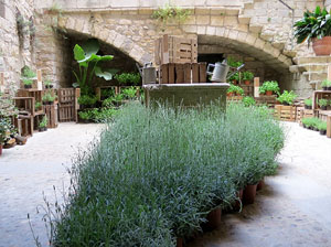 Temps de Flors 2015. Altres espais