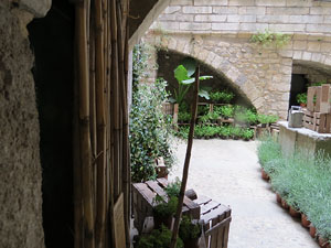 Temps de Flors 2015. Altres espais