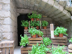 Temps de Flors 2015. Altres espais