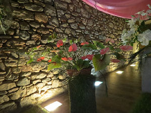 Temps de Flors 2015. Altres espais