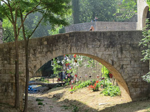 Temps de Flors 2015. Altres espais