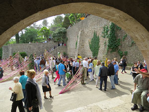 Temps de Flors 2015. Altres espais