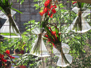 Temps de Flors 2015. Altres espais