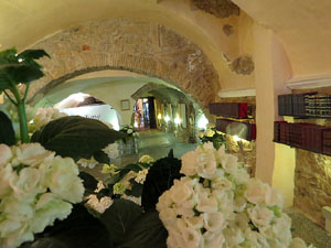 Temps de Flors 2015. Altres espais