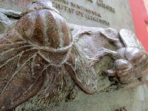 Temps de Flors 2015. Altres espais