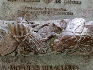 Temps de Flors 2015. Altres espais