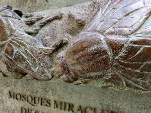 Temps de Flors 2015. Altres espais