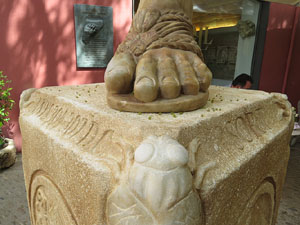 Temps de Flors 2015. Altres espais