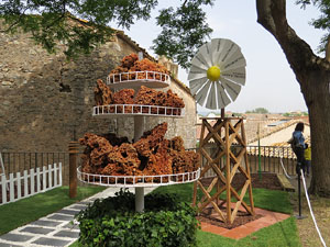 Temps de Flors 2015. El Passeig Arqueològic