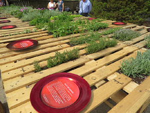 Temps de Flors 2015. El Passeig Arqueològic