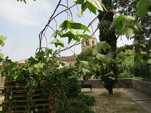 Temps de Flors 2015. El Passeig Arqueològic