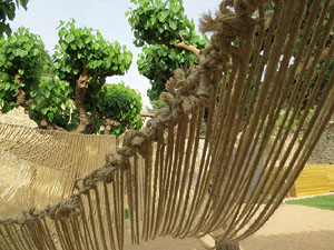 Temps de Flors 2015. Museu d'Art - Jardí