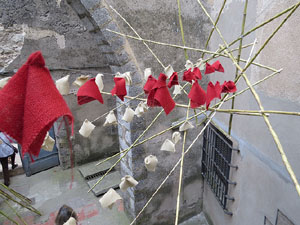 Temps de Flors 2015. Museu d'Art - Jardí