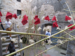 Temps de Flors 2015. Museu d'Art - Jardí