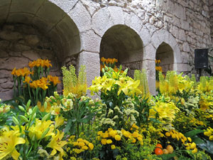 Temps de Flors 2015. Els Banys Àrabs