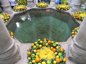 Temps de Flors 2015. Els Banys Àrabs