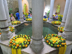 Temps de Flors 2015. Els Banys Àrabs