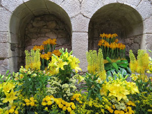 Temps de Flors 2015. Els Banys Àrabs