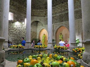 Temps de Flors 2015. Els Banys Àrabs