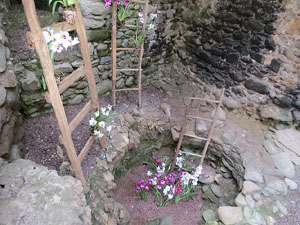 Temps de Flors 2015. Els Banys &Agrave;rabs