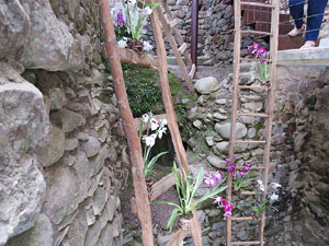 Temps de Flors 2015. Els Banys &Agrave;rabs