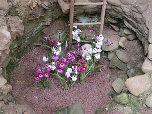 Temps de Flors 2015. Els Banys &Agrave;rabs