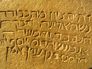 Temps de Flors 2015. Centre Bonastruc &ccedil;a Porta