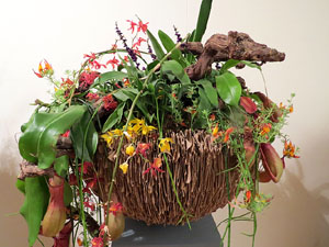 Temps de Flors 2015. El Palau de Caramany