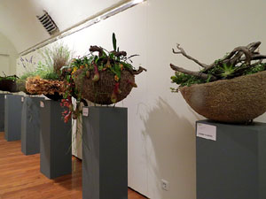 Temps de Flors 2015. El Palau de Caramany