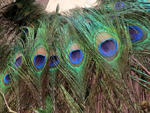 Temps de Flors 2015. El Palau de Caramany