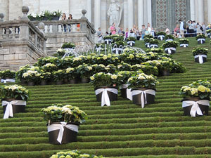 Temps de Flors 2015. Les escales de la Catedral i voltants