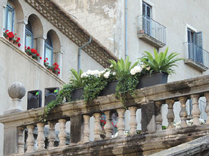Temps de Flors 2015. Les escales de la Catedral i voltants