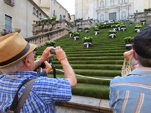 Temps de Flors 2015. Les escales de la Catedral i voltants