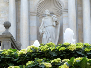 Temps de Flors 2015. Les escales de la Catedral i voltants