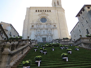 Temps de Flors 2015. Les escales de la Catedral i voltants