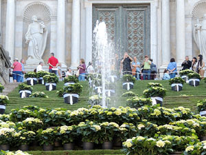 Temps de Flors 2015. Les escales de la Catedral i voltants