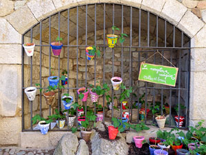Temps de Flors 2015. Les escales de la Catedral i voltants