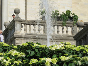 Temps de Flors 2015. Les escales de la Catedral i voltants