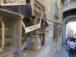 Temps de Flors 2015. Les escales de la Catedral i voltants