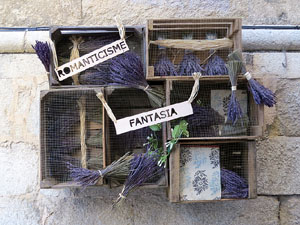 Temps de Flors 2015. Les escales de la Catedral i voltants